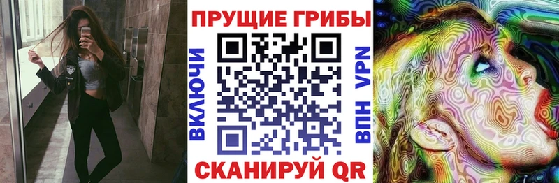 цена   Каргат  Галлюциногенные грибы Magic Shrooms 